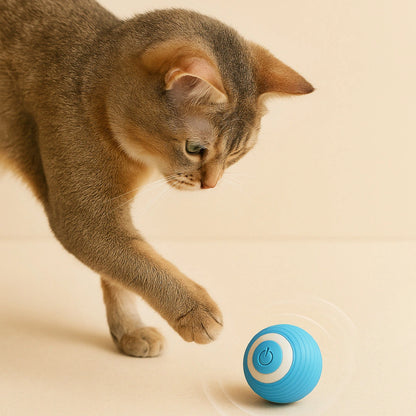 Smart Rolling Ball