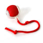 Smart Rolling Ball - Nestly