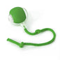 Smart Rolling Ball - Nestly