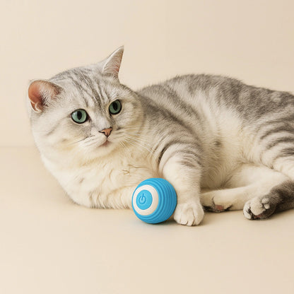 Smart Rolling Ball