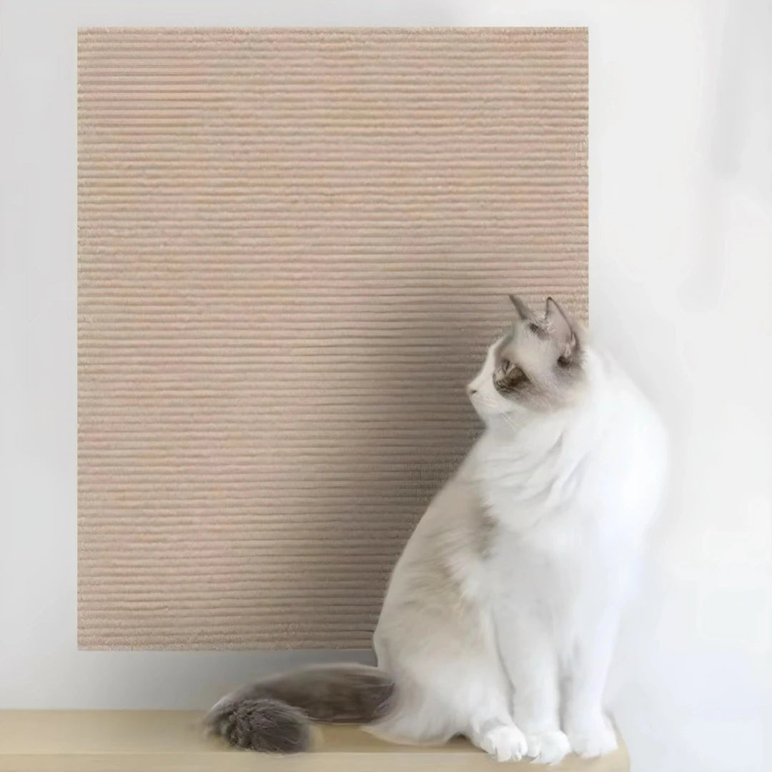 Anti Scratch Cat Sofa - Nestly